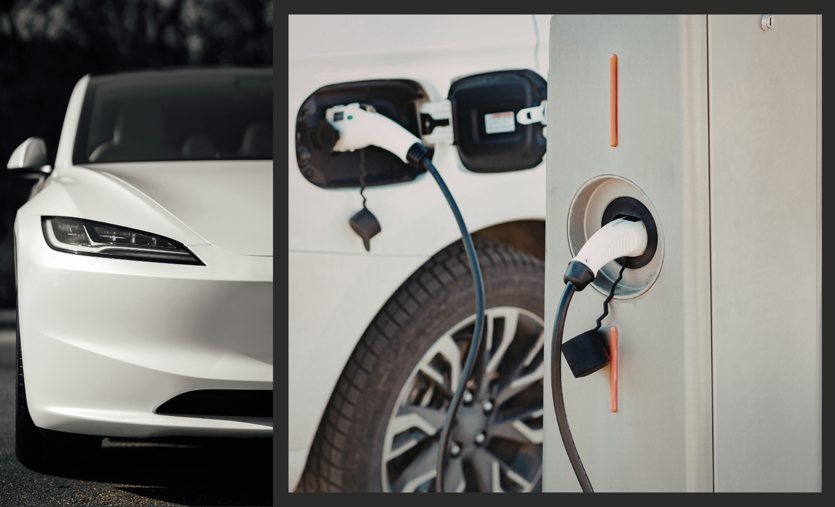 Untitled design 60 Home