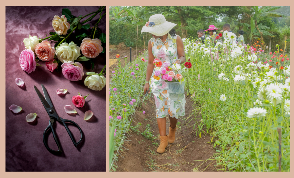 Untitled design 65 How to Grow Cut Flowers Successfully: 5 Simple Steps for Big Results