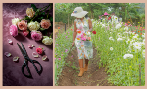 Untitled design 65 Home