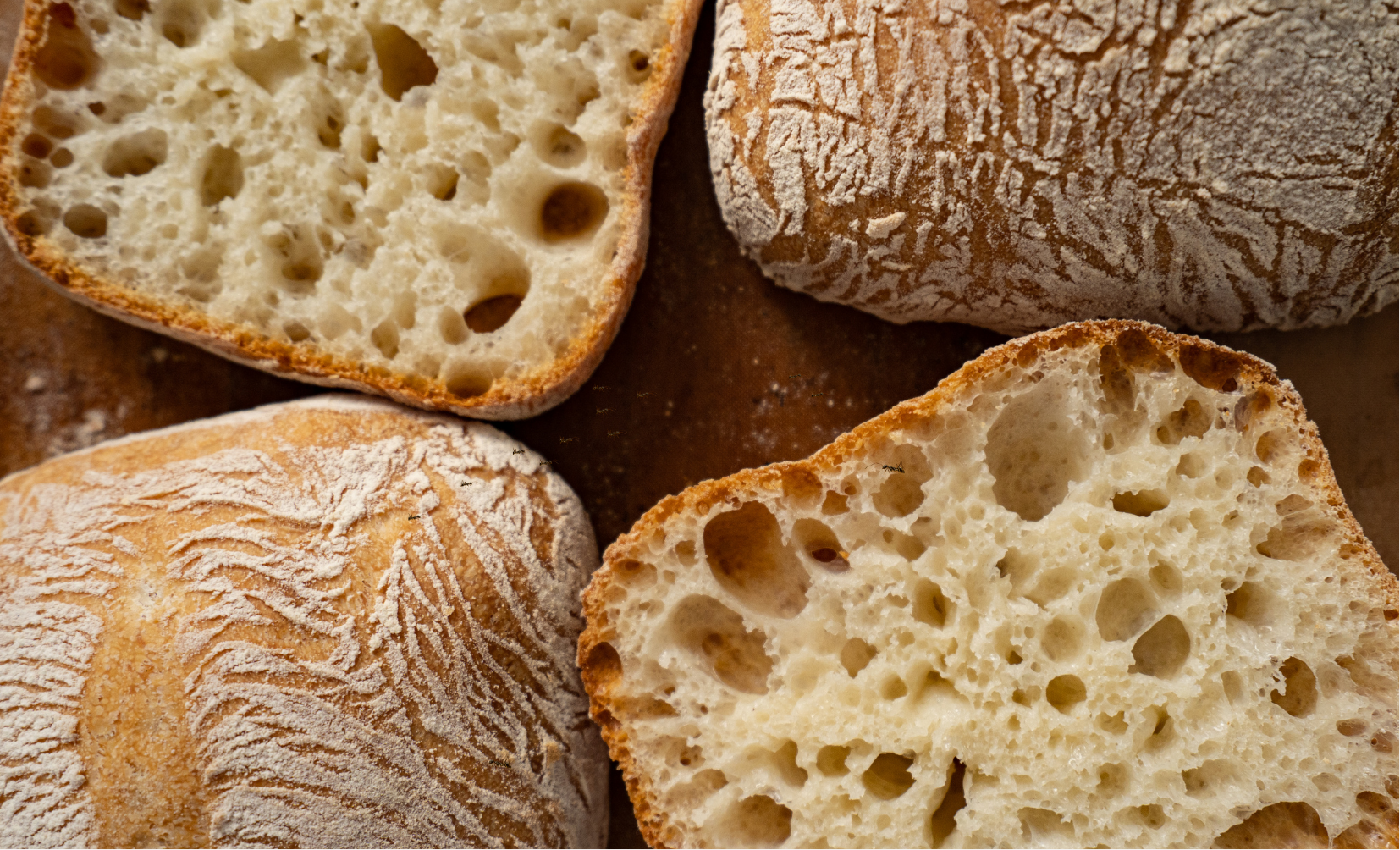 ciabatta Home